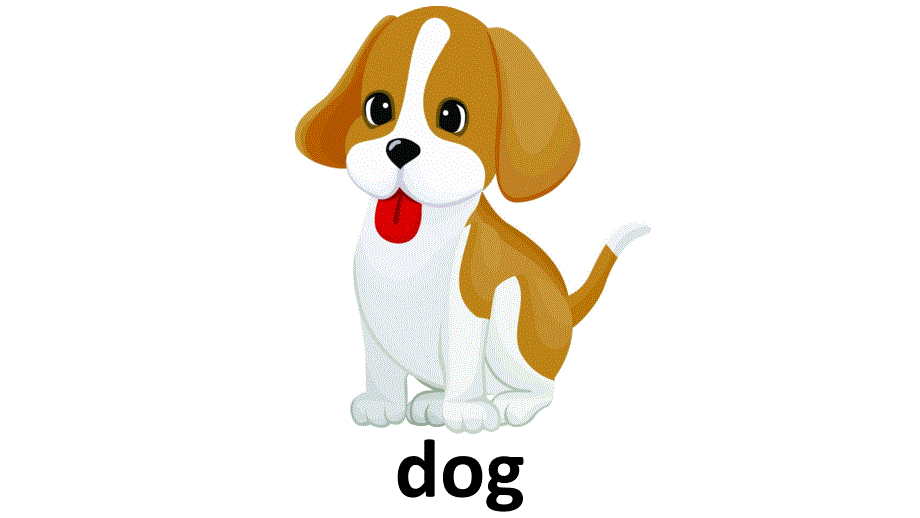 幼儿园英语教学《动物》PPT课件幼儿英语动物教学animals.ppt_第2页