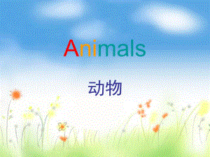 幼儿园英语《动物》PPT课件_动物.pptx