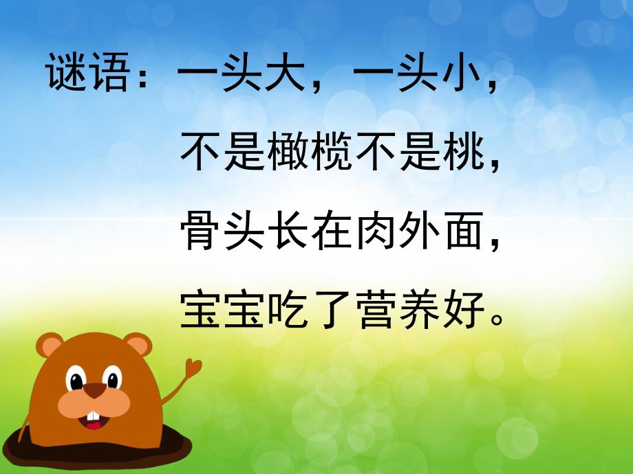 小班科学《圆溜溜的鸡蛋》PPT课件教案PPT课件.ppt_第3页