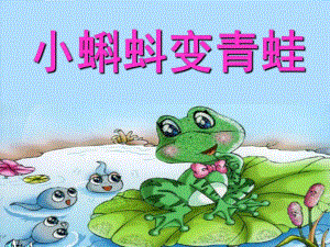 幼儿园科学《小蝌蚪变青蛙》PPT课件教案科学：小蝌蚪变青蛙分析.pptx