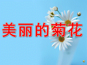 小班科学《美丽的菊花》PPT课件教案配音PPT课件.ppt