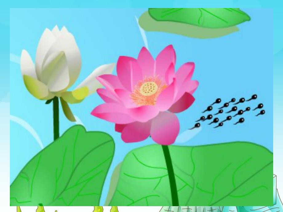 幼儿园《认识声母K》PPT课件认识声母K.ppt_第3页