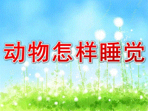 大班科学活动《动物怎样睡觉》PPT课件教案大班科学活动：动物怎样睡觉.pptx