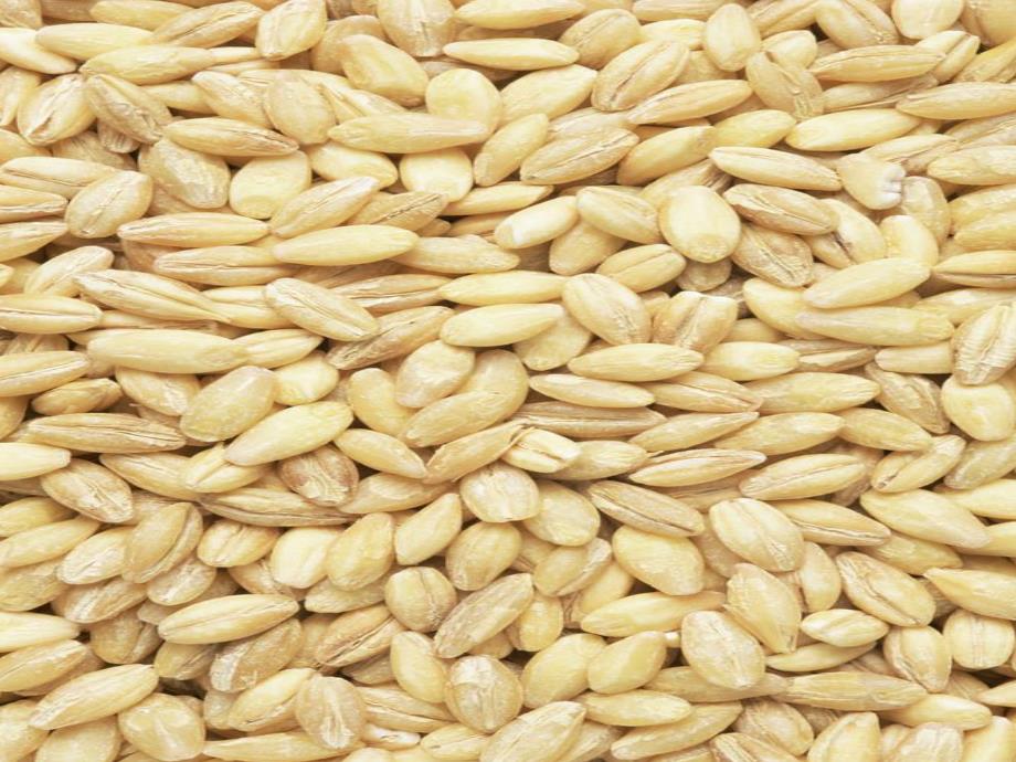 小班社会《粮食从哪里来》PPT课件教案PPT课件.ppt_第3页