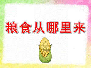 小班社会《粮食从哪里来》PPT课件教案PPT课件.ppt