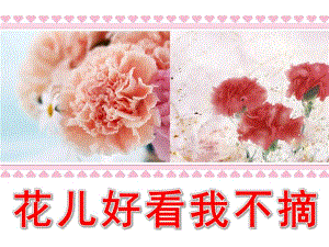 小班社会活动《花儿好看我不摘》PPT课件教案花儿好看我不摘.pptx