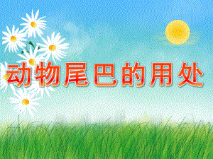 小班《动物尾巴的用处》PPT课件教案PPT.pptx