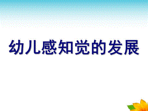 幼儿感知觉的发展PPT课件ppt.pptx