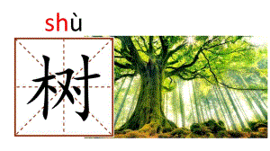 幼儿园学前班识字树叶PPT课件学前班识字ppt-树叶.ppt