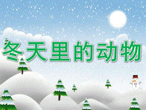 中班科学《冬天里的动物》PPT课件教案冬天里的动物.pptx