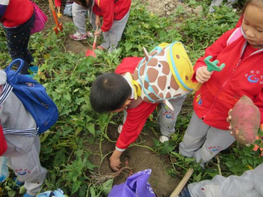 大班主题《这些东西吃哪里》PPT课件教案PPT课件.pptx_第3页