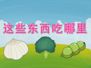 大班主题《这些东西吃哪里》PPT课件教案PPT课件.pptx