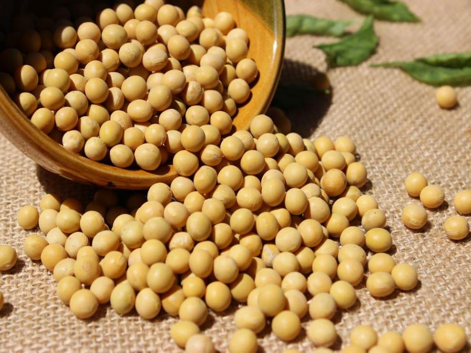 中班科学《好吃的豆制品》PPT课件教案中班科学：好吃的豆制品.pptx_第2页