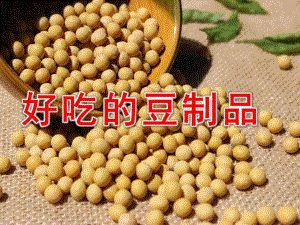 中班科学《好吃的豆制品》PPT课件教案中班科学：好吃的豆制品.pptx