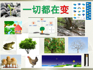 大班社会《一切都在变》PPT课件教案一切都在变.pptx