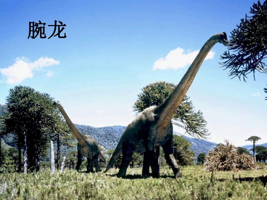 大班科学《恐龙的秘密》PPT课件教案恐龙的秘密.pptx_第2页