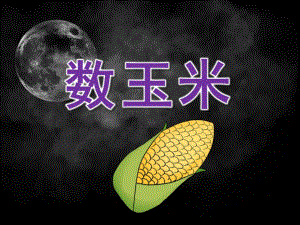 大班数学《数玉米》PPT课件教案大班数学数玉米ppt.pptx