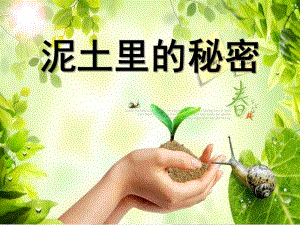 小班科学《土里的秘密》PPT课件教案泥土里的秘密.ppt