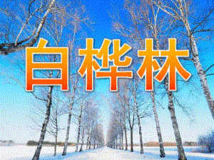 少儿美术《白桦林》PPT课件教案PPT课件.pptx