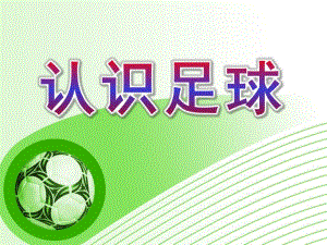 大班体育《认识足球》PPT课件教案认识足球.pptx