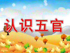 幼儿园《认识五官》PPT课件教案PPT课件.pptx