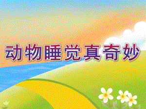 中班科学《动物睡觉真奇妙》PPT课件教案动物睡觉真奇妙.pptx