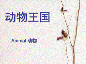 幼儿园英语《动物》PPT课件教案英语课件---动物.ppt