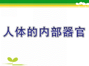 幼儿园主题《人体的内部器官》PPT课件幼儿园主题课：人体的内部器官.ppt