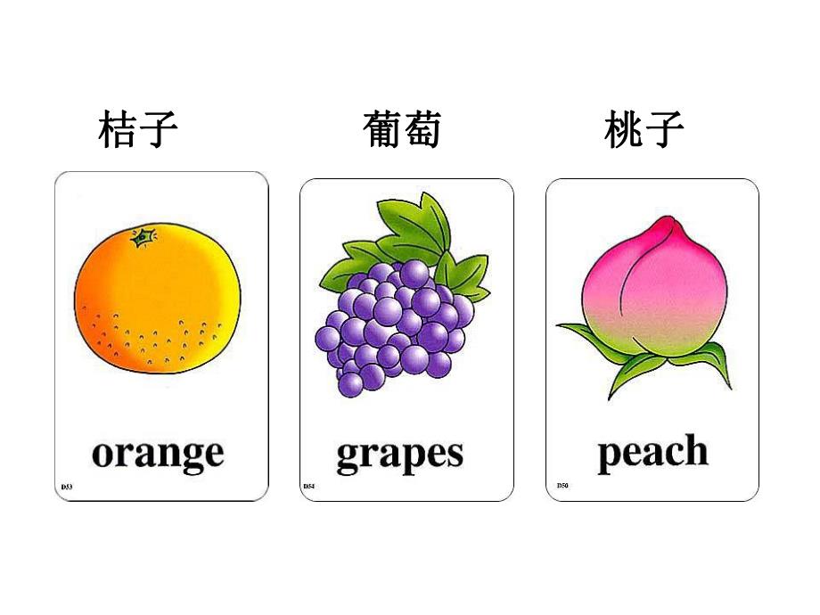 幼儿常用英语单词图片大全PPT课件幼儿常用英语单词图片大全.ppt_第2页