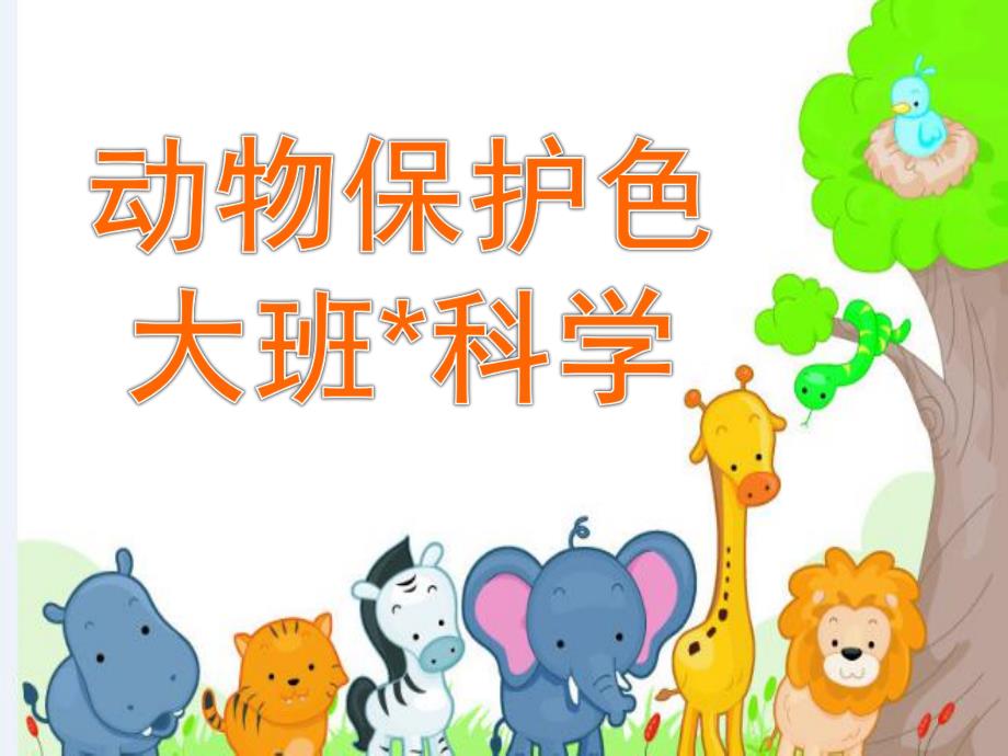 大班科学优质课《动物保护色》PPT课件教案动物保护色.pptx_第1页