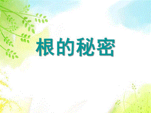 大班科学领域《根的秘密》PPT课件教案根的秘密.pptx