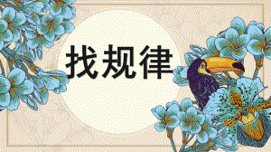 中班数学《找规律》PPT课件教案中班数学找规律ppt.pptx