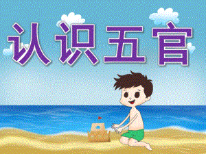 小班《认识五官》PPT课件教案516811c8ba4cf7ec4afe04a1b0717fd5360cb239.pptx