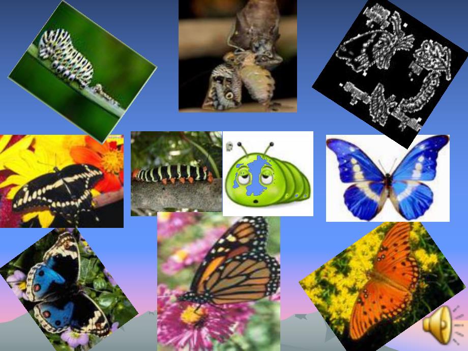 小班语言《会变的毛毛虫》PPT课件小班语言活动课件《变色的小毛毛虫》.pptx_第2页