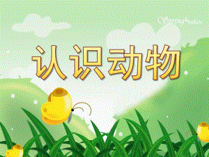 幼儿园科学《认识动物》PPT课件教案ppt课件.ppt