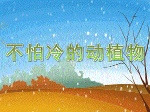 小班科学《不怕冷的动植物》PPT课件教案PPT课件.pptx