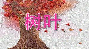 中班语言《树叶》PPT课件教案中班语言文学活动诗歌《叶子》.pptx