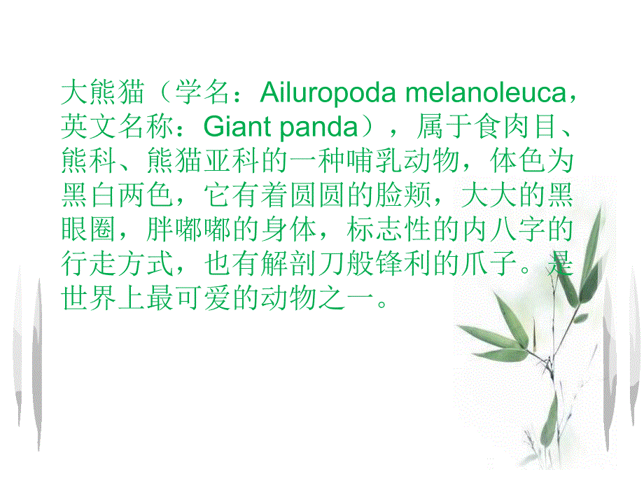 小班绘画《大熊猫》PPT课件教案小班少儿绘画大熊猫.ppt_第3页