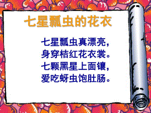 大班美术《七星瓢虫的花衣》PPT课件教案七星瓢虫的花衣------幼儿园大班.pptx