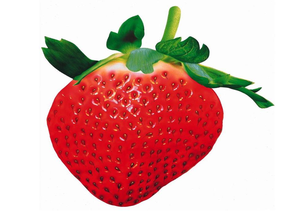 大班美术活动《水果娃娃变形记》PPT课件教案美术：水果娃娃变形记.pptx_第3页