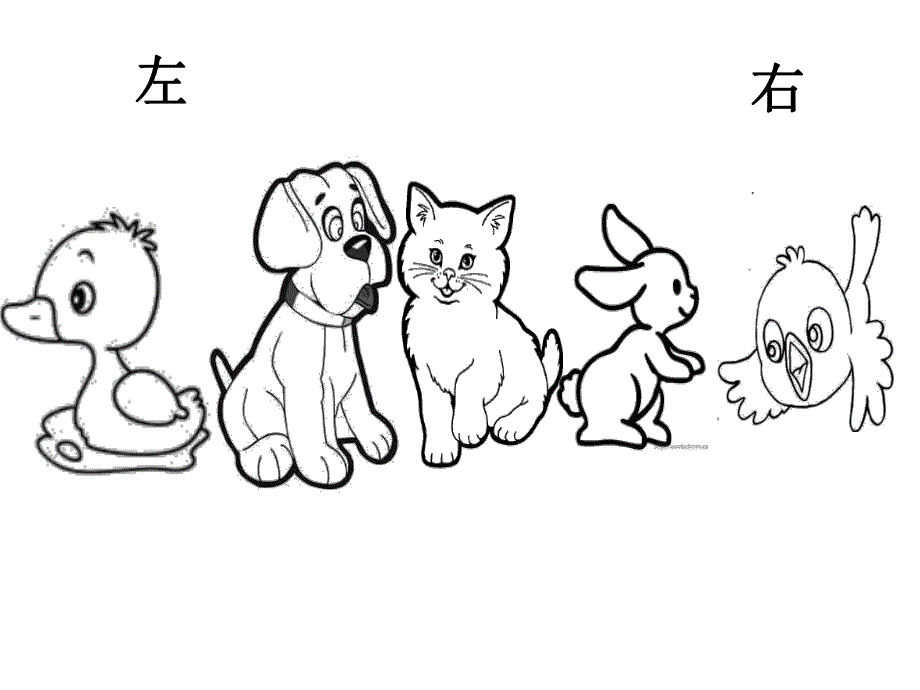 中班数学优质课《小动物排队》PPT课件教案PPT课件.pptx_第3页