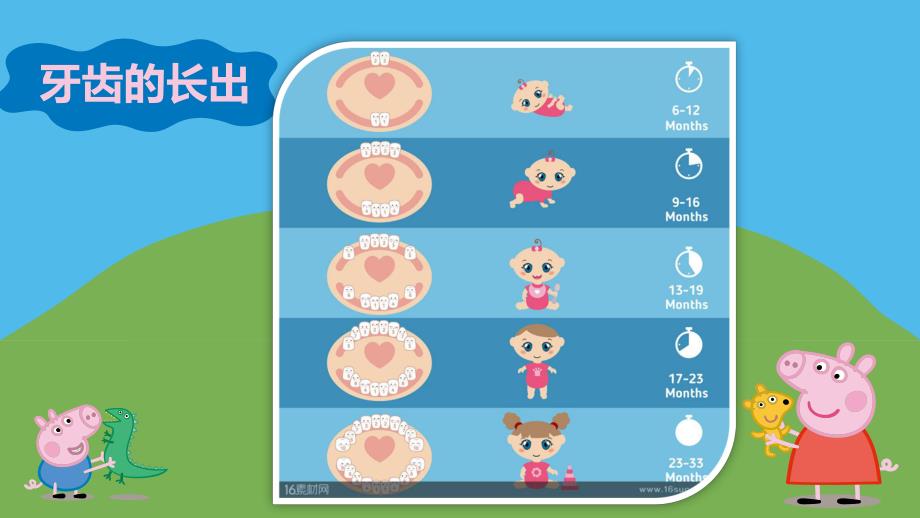 中班《牙齿的秘密》PPT课件教案中班牙齿的秘密ppt.pptx_第3页