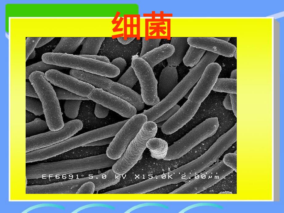 中班健康《预防传染病方法多》PPT课件预防传染病方法多.pptx_第3页