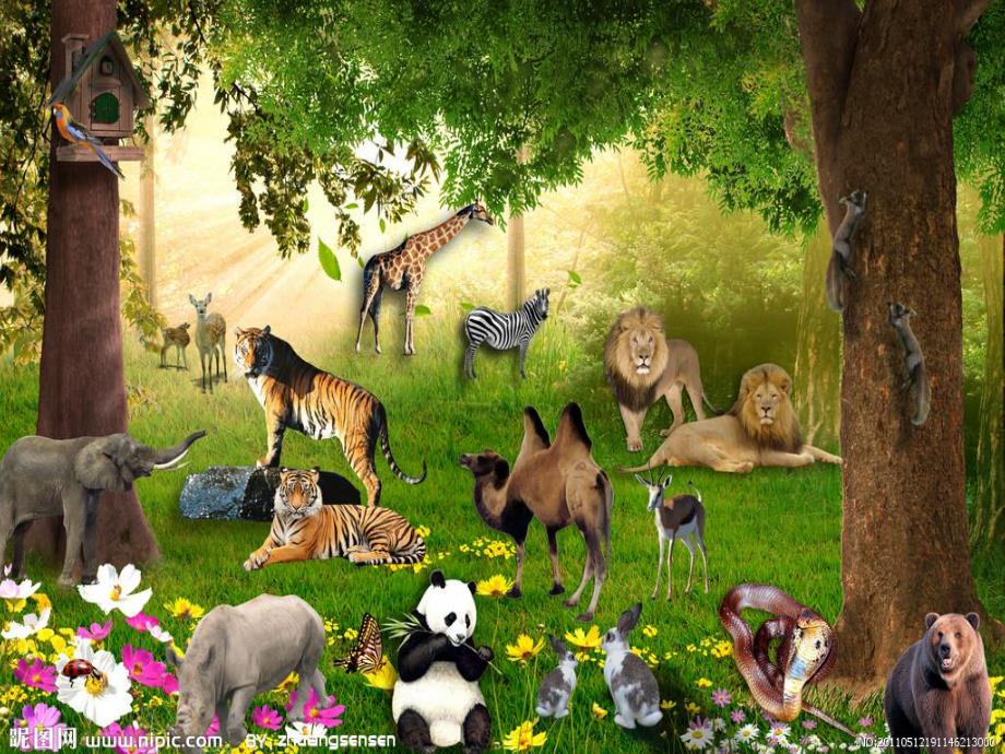 幼儿园数学《10以内的相邻数》PPT课件教案10以内的相邻数(1).ppt_第3页