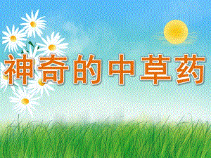 大班科学《神奇的中草药》PPT课件教案PPT课件.pptx