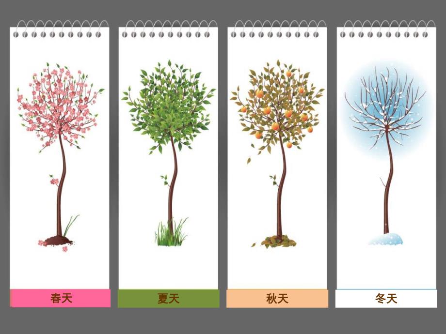 中班语言活动《神奇的树》PPT课件教案语言《神奇的树》.pptx_第2页