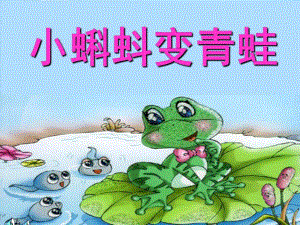 幼儿园科学《小蝌蚪变青蛙》PPT课件教案科学：小蝌蚪变青蛙分析.ppt