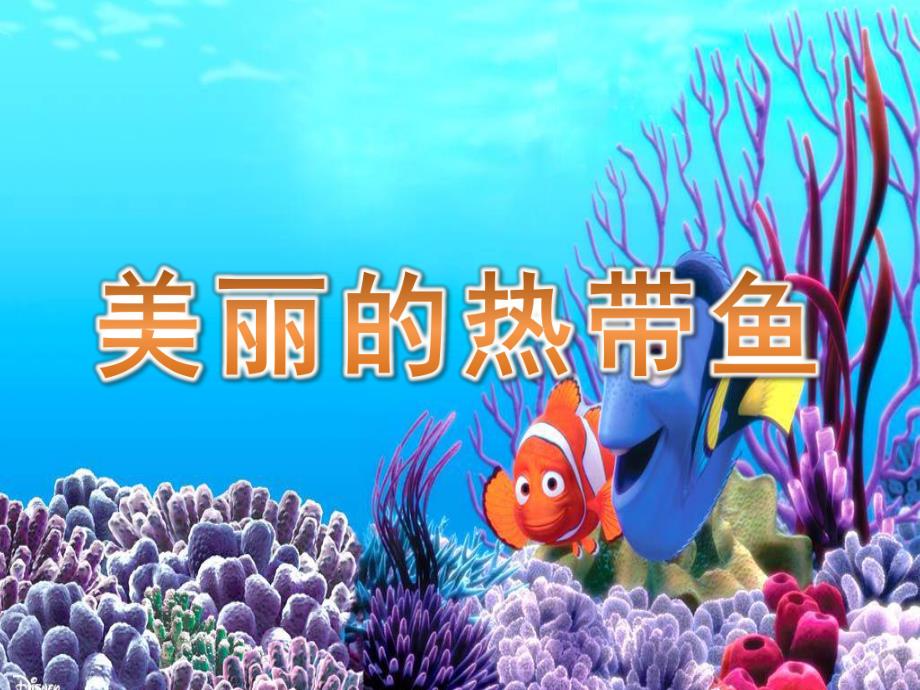 大班美术《美丽的热带鱼》PPT课件教案PPT课件.pptx_第1页