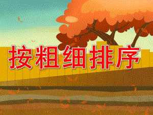 中班《按粗细排序》PPT课件教案PPT课件.pptx