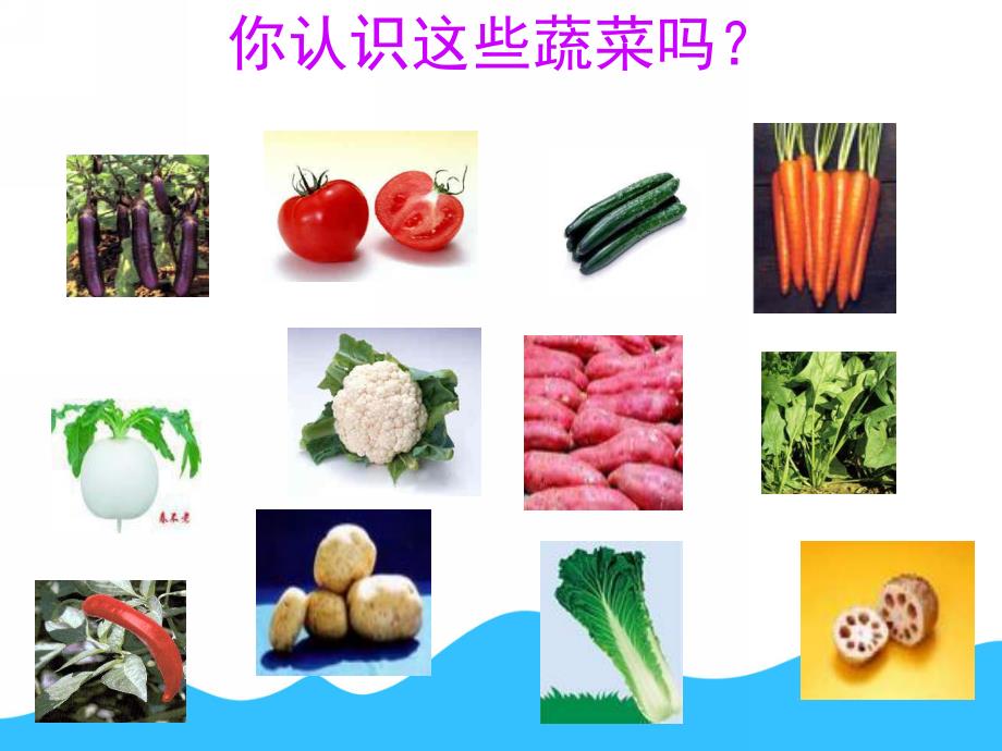 小班健康《可爱的蔬菜宝宝》PPT课件教案小班《可爱的蔬菜宝宝》课件.pptx_第2页